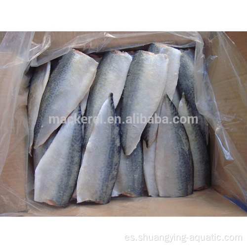 Exportación china Filetes de caballa del Pacífico congelado